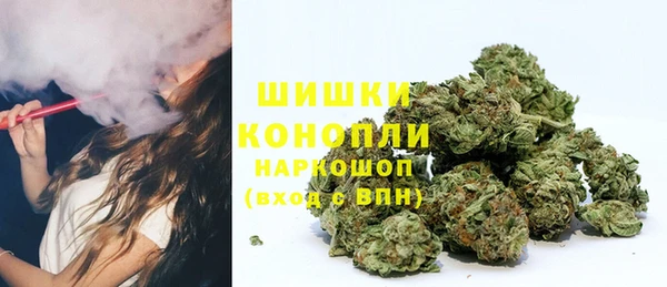 гидропоника Козловка