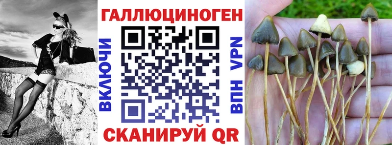 Псилоцибиновые грибы Psilocybe  Купить  Бугульма 