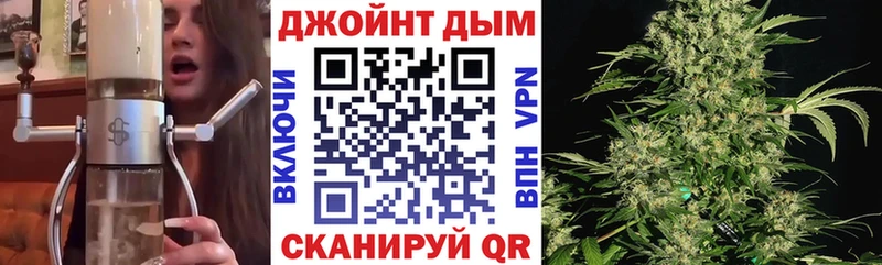 Конопля сатива  Купить где  Бугульма 
